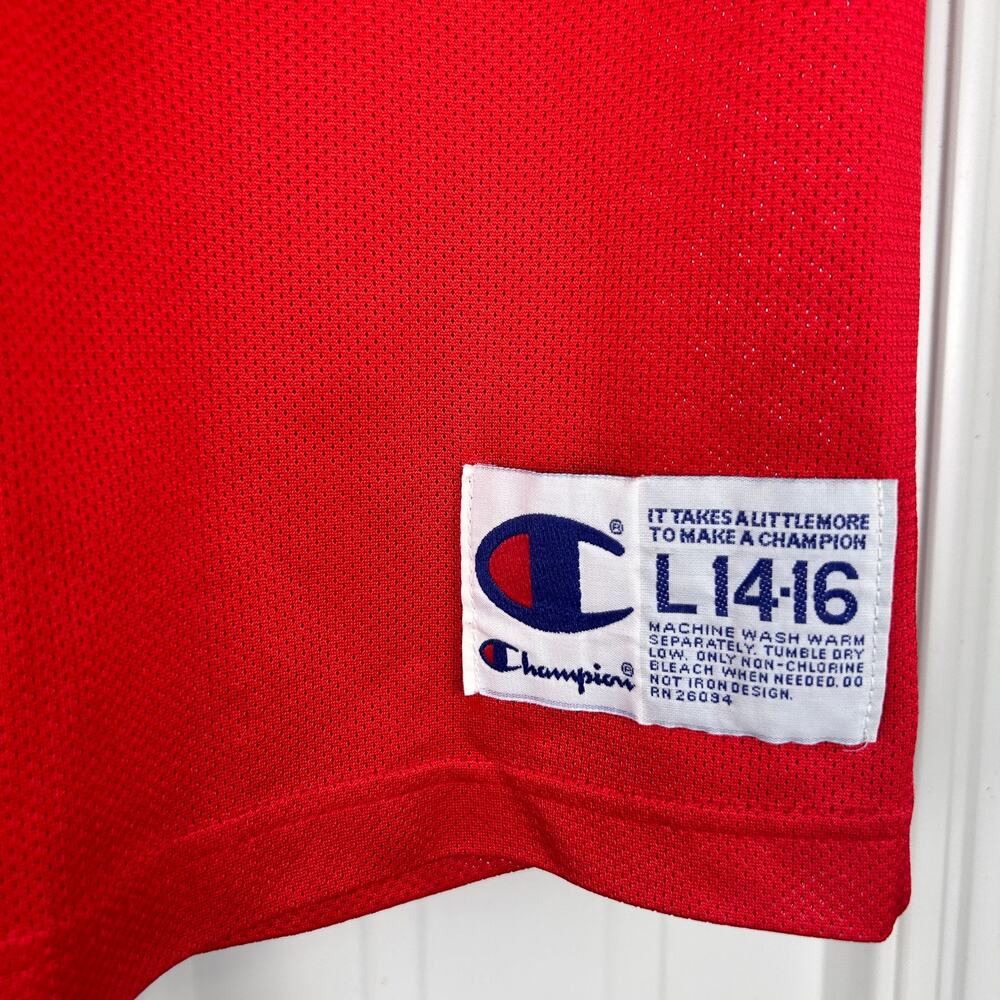 Signed Dennis Rodman 90s Champion Chicago Bulls Youth L 14-16 Jersey - Picture 7 of 7